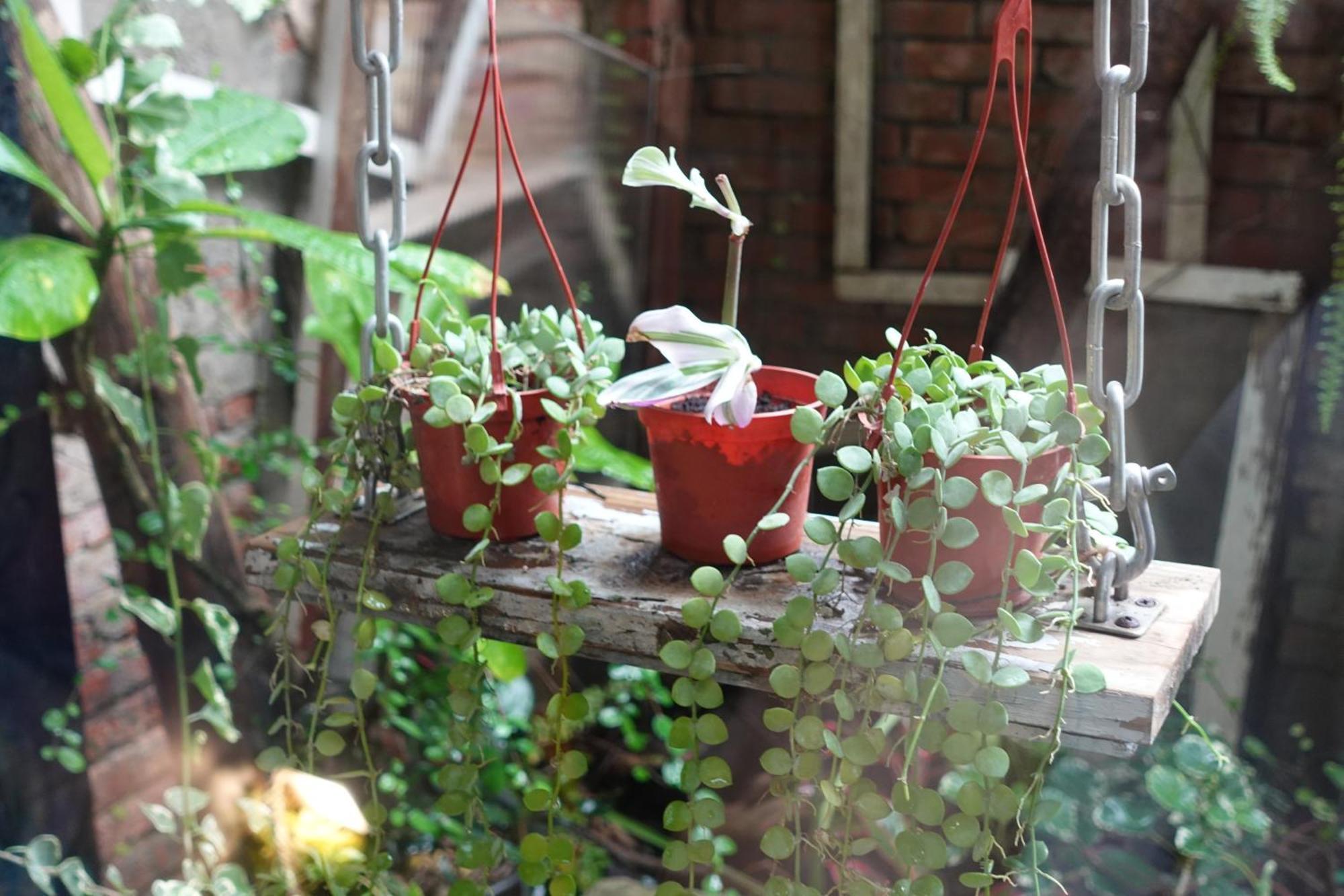 Fuqi Hostel - Heping Tainan Exterior photo